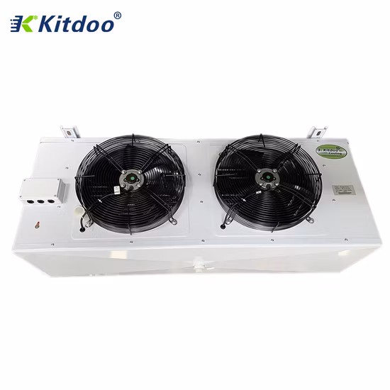 Enfriador de aire de cámara frigorífica de refrigeración de frutas y verduras